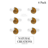 Ammonite Ring_R-BOX-1_Box_1